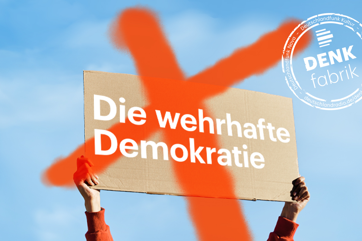 Direkte Demokratie Logo