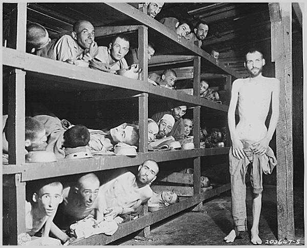 Buchenwaldausstellung1