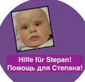 Stepan Icon